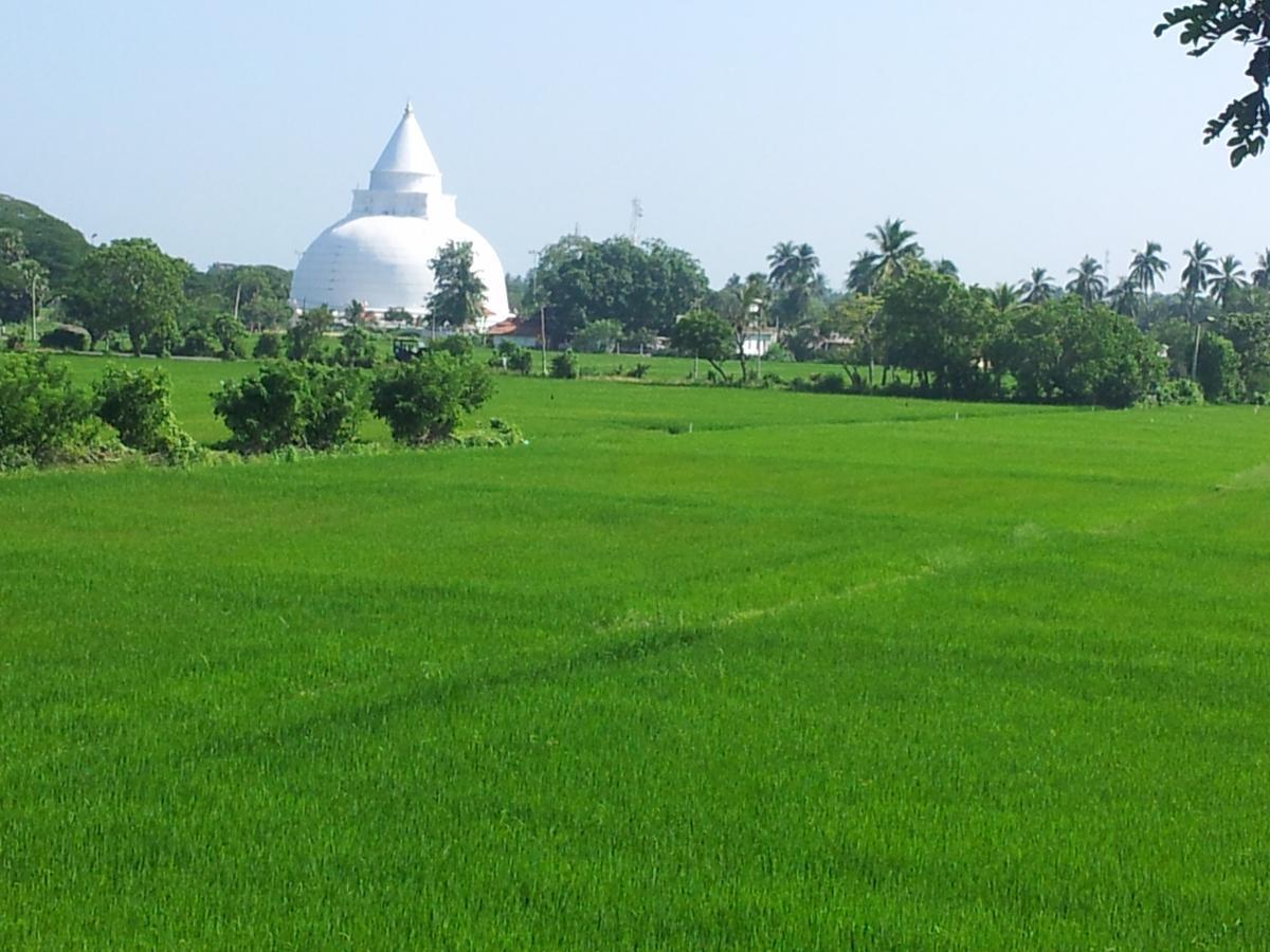 New Vilard Tissamaharama Exterior photo