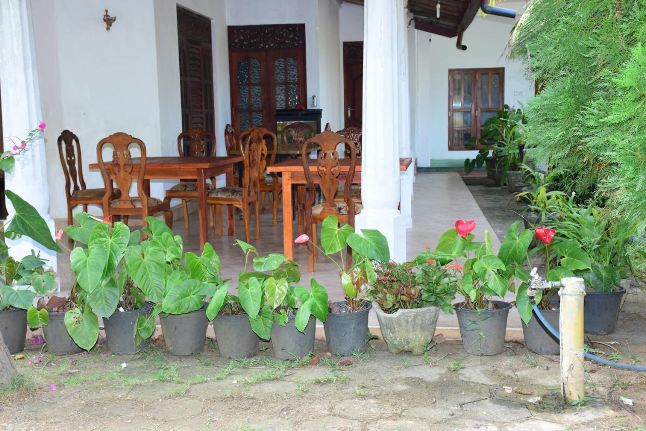 New Vilard Tissamaharama Exterior photo